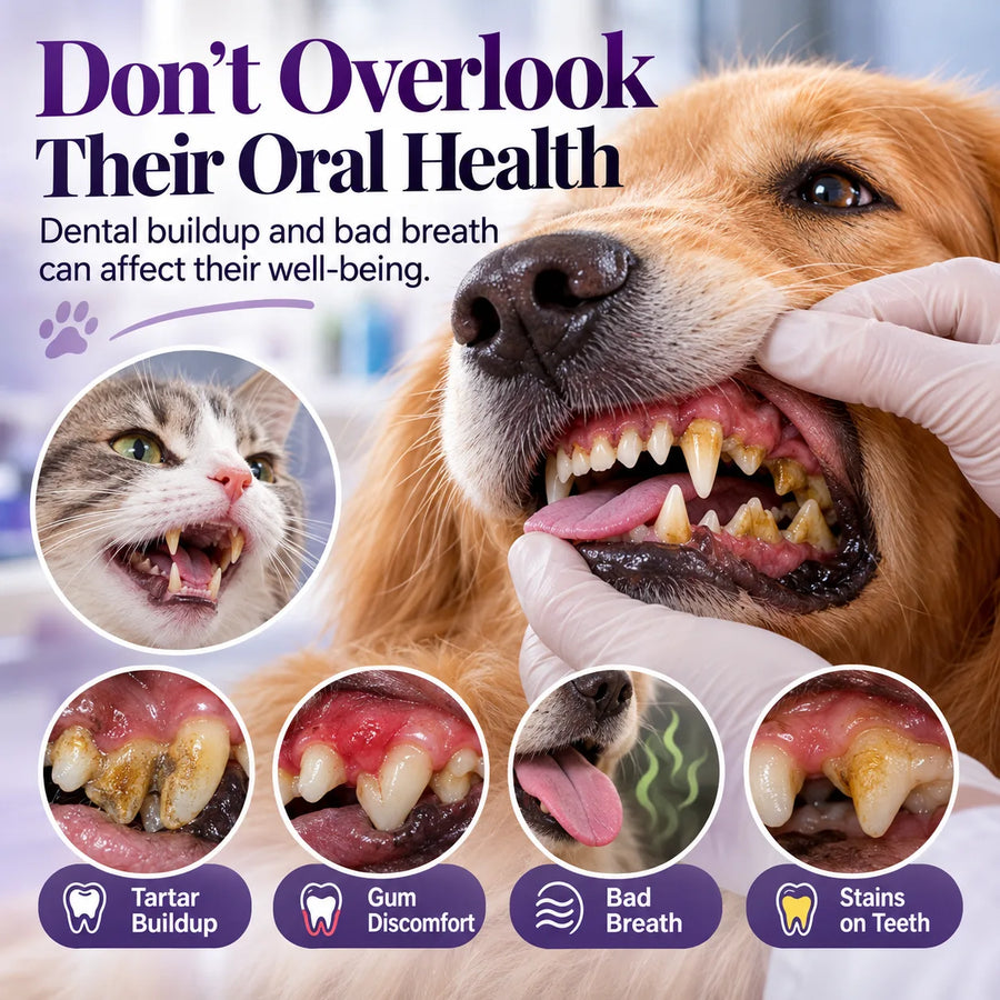 Start easier brushing today