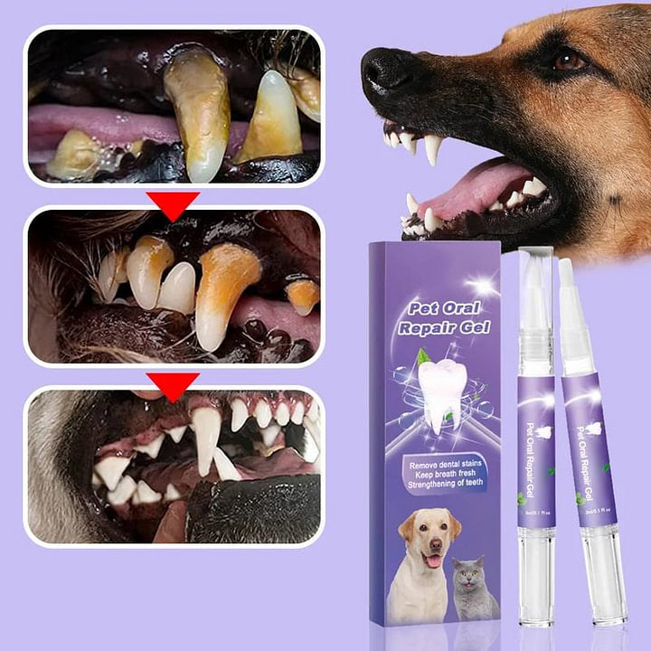 Pawdentra Oral Care Gel Brush - Pet Dental Gel for Easy Brushing